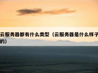 云服务器都有什么类型（云服务器是什么样子的）