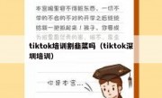 tiktok培训割韭菜吗（tiktok深圳培训）