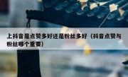 上抖音是点赞多好还是粉丝多好（抖音点赞与粉丝哪个重要）