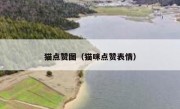 猫点赞图（猫咪点赞表情）