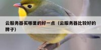 云服务器买哪里的好一点（云服务器比较好的牌子）