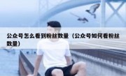 公众号怎么看到粉丝数量（公众号如何看粉丝数量）