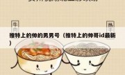 推特上的帅的男男号（推特上的帅哥id最新）