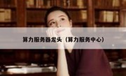 算力服务器龙头（算力服务中心）