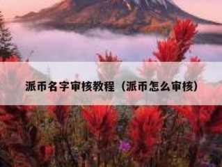 派币名字审核教程（派币怎么审核）