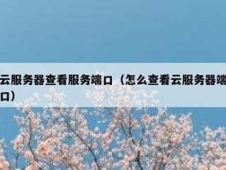 云服务器查看服务端口（怎么查看云服务器端口）