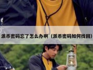 派币密码忘了怎么办啊（派币密码如何找回）