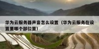 华为云服务器声音怎么设置（华为云服务在设置里哪个部位置）