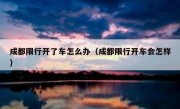 成都限行开了车怎么办（成都限行开车会怎样）