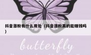 抖音涨粉有什么用处（抖音涨粉真的能赚钱吗）