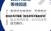 樱花的句子唯美（樱花的句子唯美短句）