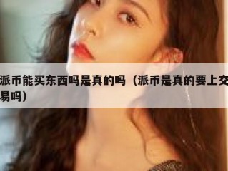 派币能买东西吗是真的吗（派币是真的要上交易吗）