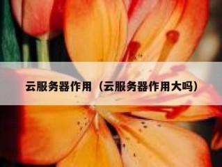 云服务器作用（云服务器作用大吗）