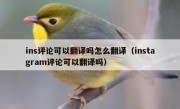 ins评论可以翻译吗怎么翻译（instagram评论可以翻译吗）