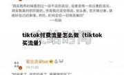 tiktok付费流量怎么做（tiktok买流量）