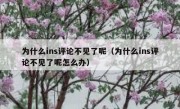为什么ins评论不见了呢（为什么ins评论不见了呢怎么办）