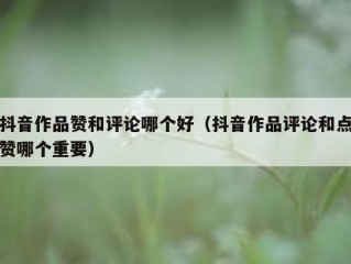 抖音作品赞和评论哪个好（抖音作品评论和点赞哪个重要）