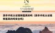 派币手机认证视频是真的吗（派币手机认证视频是真的吗安全吗）