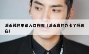 派币钱包申请入口在哪（派币真的办卡了吗现在）