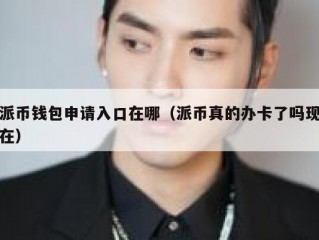 派币钱包申请入口在哪（派币真的办卡了吗现在）