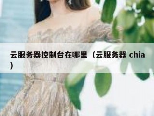 云服务器控制台在哪里（云服务器 chia）
