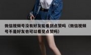 微信视频号没有好友能看到点赞吗（微信视频号不是好友也可以看见点赞吗）