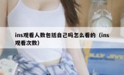 ins观看人数包括自己吗怎么看的（ins观看次数）