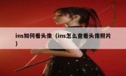 ins如何看头像（ins怎么查看头像照片）