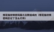 樱花指纹锁密码是几位数组成的（樱花指纹锁密码忘记了怎么打开）