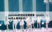 youtube的评论在哪里看（youtube怎么看评论区）