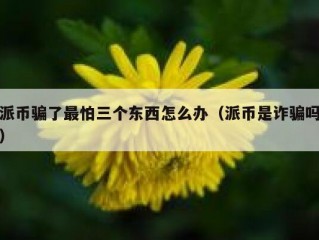 派币骗了最怕三个东西怎么办（派币是诈骗吗）