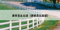 派币怎么认证（派币怎么验证）