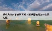 派币为什么不被认可呢（派币是骗局为什么没人管）