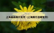 上海最新限行处罚（上海限行违规处罚）