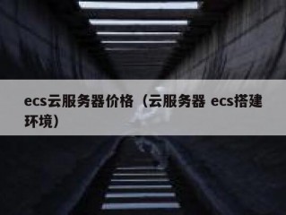 ecs云服务器价格（云服务器 ecs搭建环境）
