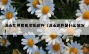 派币能兑换现金嘛现在（派币现在是什么情况）