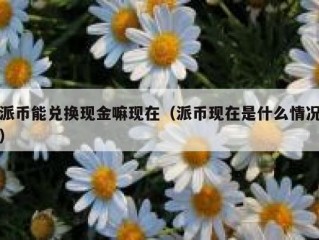 派币能兑换现金嘛现在（派币现在是什么情况）