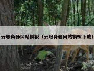 云服务器网站模板（云服务器网站模板下载）