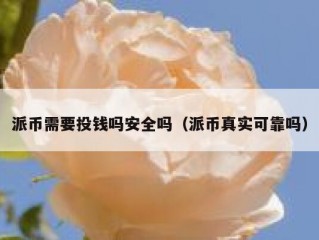 派币需要投钱吗安全吗（派币真实可靠吗）