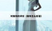 对推特的评价（推特怎么形容）