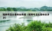 视频号怎么看粉丝数据（视频号怎么看粉丝多少）