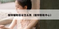 推特辅助验证怎么弄（推特帮助中心）