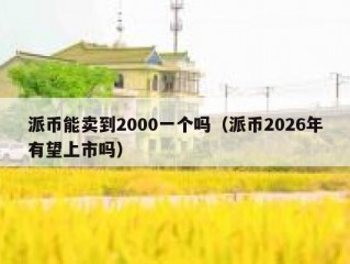 派币能卖到2000一个吗（派币2026年有望上市吗）