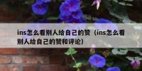 ins怎么看别人给自己的赞（ins怎么看别人给自己的赞和评论）