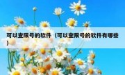 可以查限号的软件（可以查限号的软件有哪些）