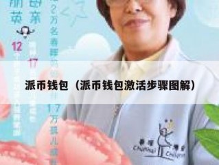 派币钱包（派币钱包激活步骤图解）