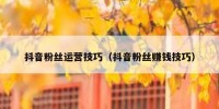 抖音粉丝运营技巧（抖音粉丝赚钱技巧）