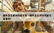 国外怎么看待鸿星尔克（国外怎么评价鸿星尔克事件）
