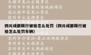 四川成都限行被拍怎么处罚（四川成都限行被拍怎么处罚车辆）