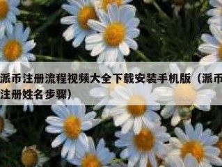 派币注册流程视频大全下载安装手机版（派币注册姓名步骤）